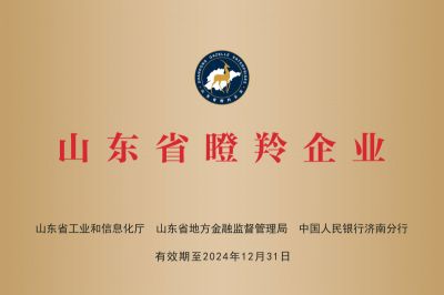 2021年被評為山東省瞪羚企業(yè)
