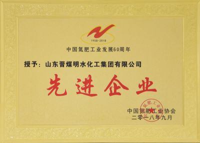 中國氮肥工業(yè)發(fā)展60周年先進企業(yè)